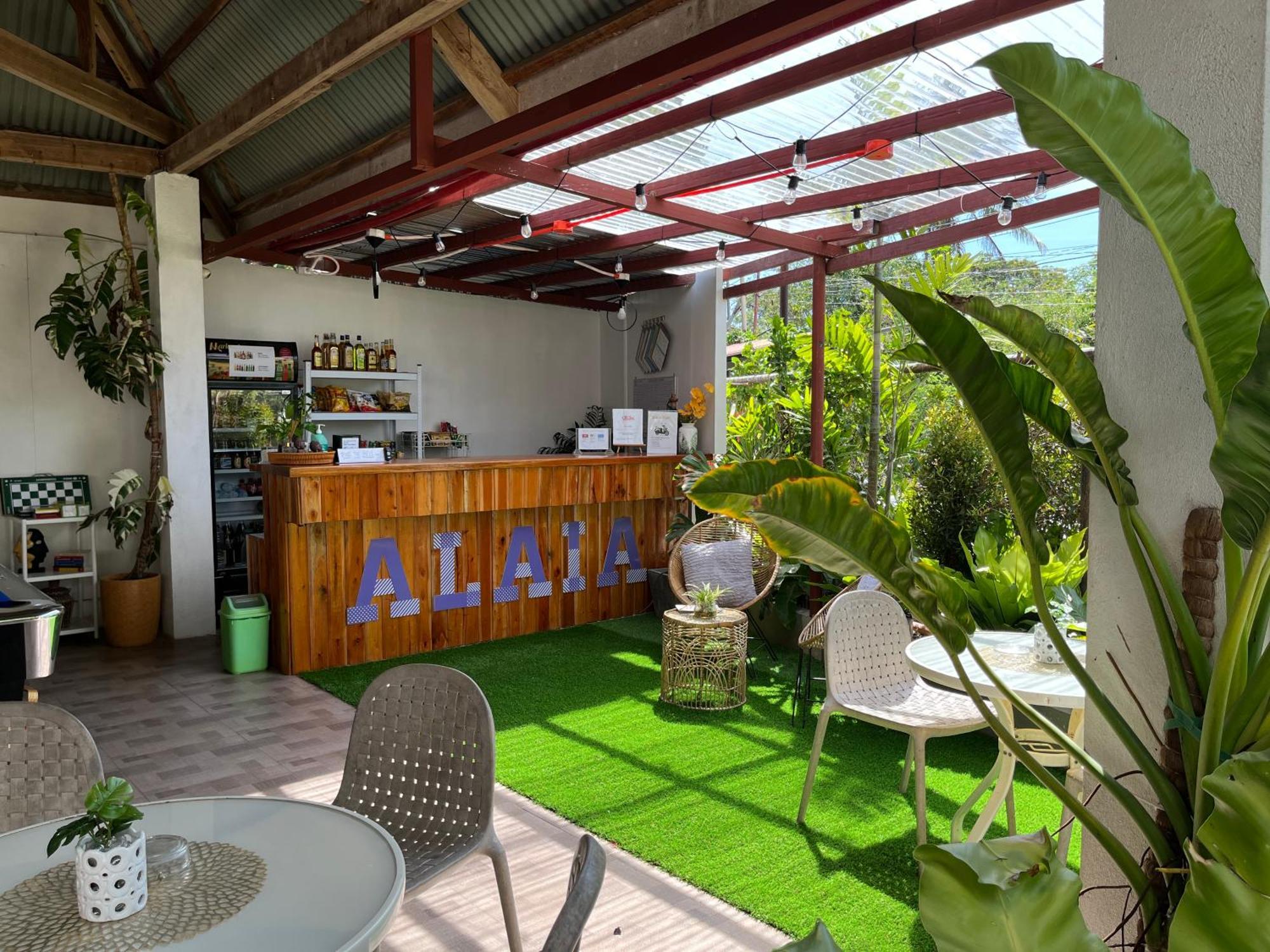 פנגלאו Alaia Studios מראה חיצוני תמונה